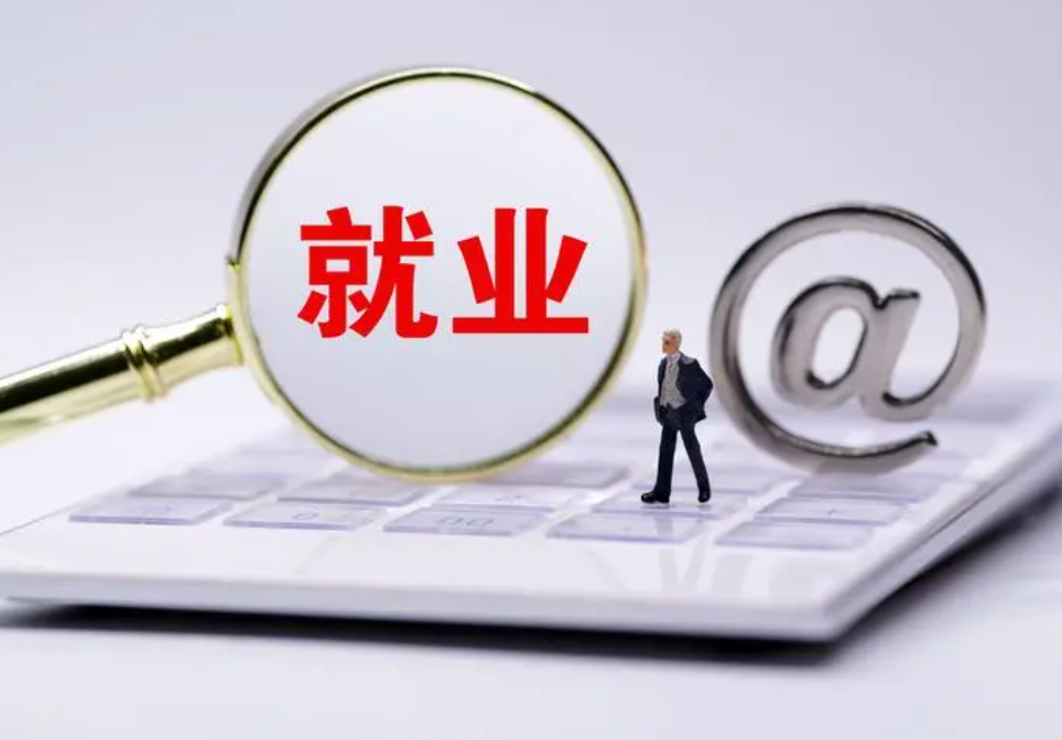 学生推荐就业安置制度